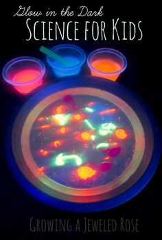 glow in the dark science for kids growing a jeweled rose