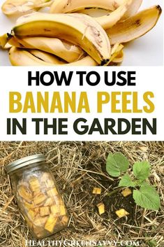 how to use banana peels in the garden