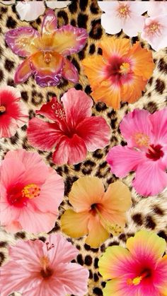 colorful flowers on leopard print background