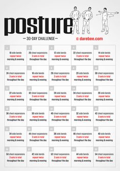 the 30 - day challenge poster for posture