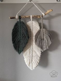 three different colored feathers hanging on a wall