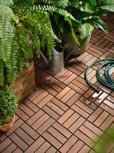 a watering can is sitting on the ground next to some green plants and hoses