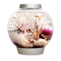 a fish bowl filled with lots of different types of sea creatures and corals in it