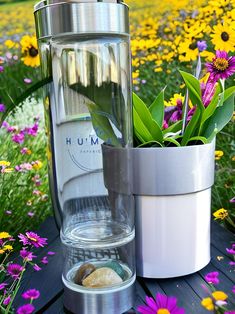 a glass vase with flowers in it sitting on a table next to a flower pot