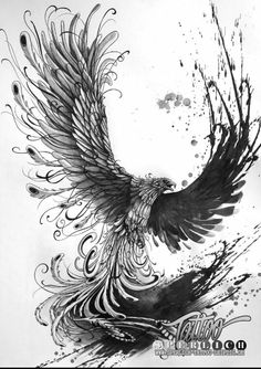 a black and white drawing of a bird with its wings spread out in the air