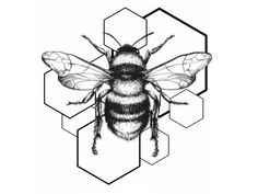 a black and white drawing of a bee with honeycombs around it's sides