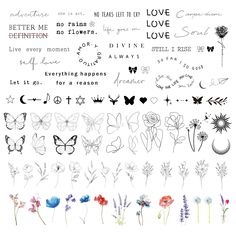 the different flowers and butterflies are drawn in ink on paper, with words above them