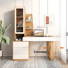 an office desk with shelves, bookshelf and potted plant next to it