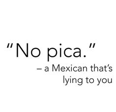 a quote that says no pica, a mexican that's lying to you