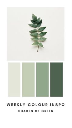 a green color palette with the words, weekly colour inspo shades of green on it