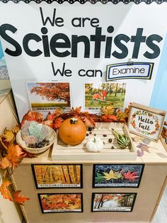 a table with pictures and pumpkins on it in front of a sign that says we are scientist's we can examine