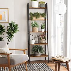 a living room with potted plants on the shelves