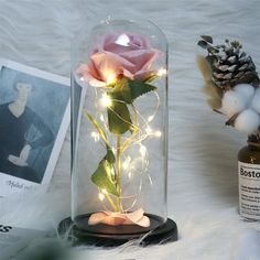 a pink rose in a glass dome with fairy lights on the inside and beside it is a pine cone