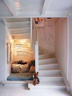 a small dog sitting on top of a step next to a bed in a room