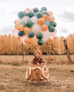 a little boy sitting in a basket with balloons attached to it and the number 20 on top