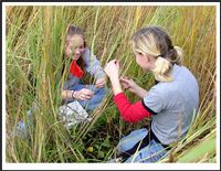 Prairies Across Kansas website - Citizen Science Central - Konza Environmental Education Program and Biological Station Citizen Science, Kansas, Soil, Science, Education, Plants