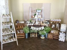 a table filled with lots of potted plants next to wooden crates and ladders