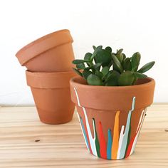 three clay pots with plants in them on a table