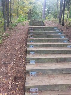 there are many steps going up the hill in the woods with no one on them