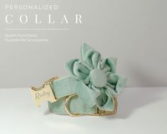 a dog collar with a flower on it