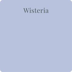 the word wisteria is written in grey on a light blue background with an image of