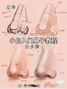 an image of various types of nose and mouth shapes in chinese text on a pink background