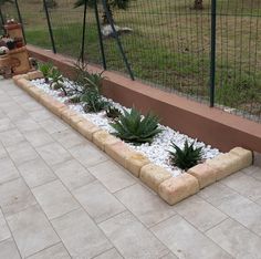 an outdoor garden with plants and rocks on the ground in front of a fenced area