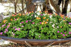 a wheelbarrow filled with lots of flowers