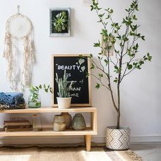 a living room with plants and pictures on the wall