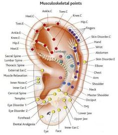 ear acupuncture points