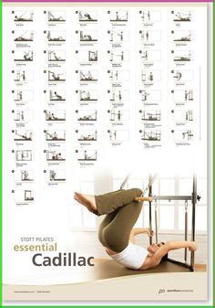 PRICES MAY VARY. This full-size wall poster includes individual photograph highlights of all 36 exercises of the STOTT PILATES Arc Barrel repertoire Dry mount or frame to suit your décor for quick visual reference of each move in sequence Featuring suggested repetitions for each exercise, the Complete Arc Barrel Wall Chart makes planning workouts easy Printed on recycled paper using vegetable-based inks that contain low VOCs (volatile organic compounds) Pilates Wall, Stott Pilates, Pilates Reformer Exercises, Pilates Equipment, Pilates Training, Kickboxing Workout, Pilates For Beginners, Postnatal Workout