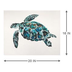 a sea turtle is shown with the measurements for it's size and color scheme