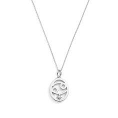 Zodiac Necklaces - a celestial blend of style and symbolism. Crafted with precision, each piece represents the unique traits of your zodiac sign. Available in silver and gold finishes, these necklaces aren't just accessories; they're personal talismans. Elevate your everyday look or gift a special someone with the stars' elegance. Sterling Silver Zodiac Sign Charm Pendant Necklace, Sterling Silver Zodiac Sign Pendant Necklace, Sterling Silver Zodiac Sign Pendant Charm Necklaces, Silver Sterling Zodiac Sign Charm Necklace, Silver Zodiac Sign Charm Necklace, Silver Zodiac Sign Pendant Necklace, Silver Zodiac Sign Necklace For Gift, White Gold Zodiac Sign Necklace For Gift, Celestial Zodiac Sign Pendant Necklaces