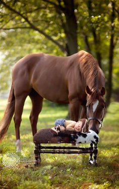 Pretty Horses, Newborn Pictures, Horse Pictures, Horse Love, A Horse, Beautiful Horses