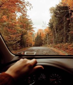 a person driving down a road in the middle of trees with orange and yellow leaves