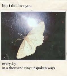 a white butterfly sitting on top of a piece of paper with the words, but i did love you