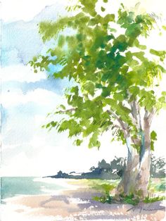 a watercolor painting of a tree on the beach