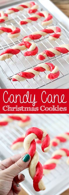 candy cane christmas cookies on a baking rack