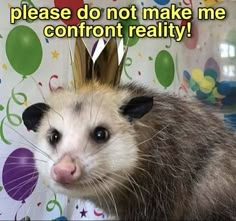 a ferret with a crown on it's head and caption that reads please do not make me confront reality