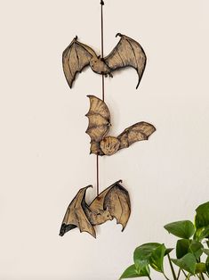 three bats hanging on a wall next to a potted plant