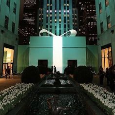 a fountain in the middle of a city at night