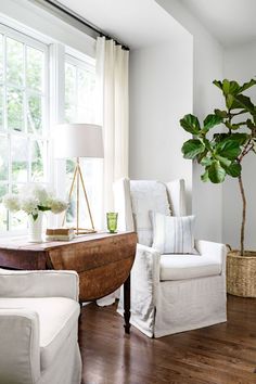 a living room filled with furniture and a potted plant in front of a window