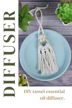 an advertisement for diy tassel essential oil diffuser on a plate with succulents