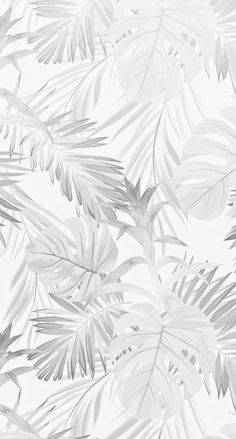 an abstract photo of leaves on a white wallpapered room with grey and silver accents