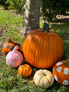 several pumpkins sitting in the grass near a tree