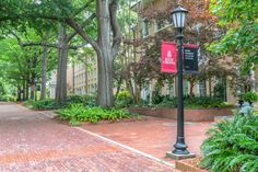 a lamp post on a brick sidewalk in front of a building with trees and bushes