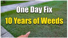 one day fix 10 years of weeds in front of a house with the words on it