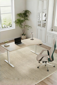 an office area with a desk, chair and potted plant on the rug in front of it