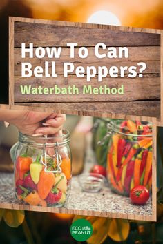 how to can bell peppers? waterbath method for beginners and expert gardeners