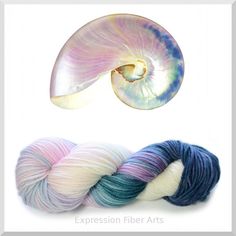 two skeins of yarn and an object in the shape of a nauti shell